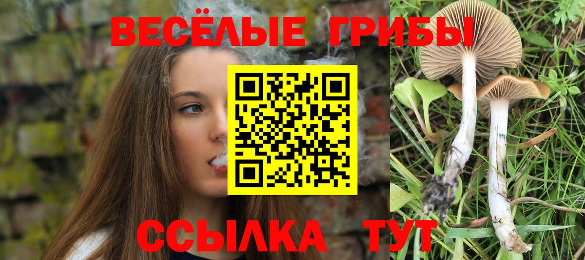 цена   Вход с VPN  Усть-Илимск  Псилоцибиновые грибы Psilocybine cubensis 