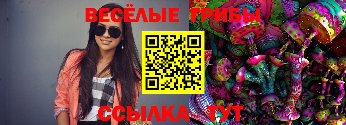 Галлюциногенные грибы GOLDEN TEACHER Усть-Илимск